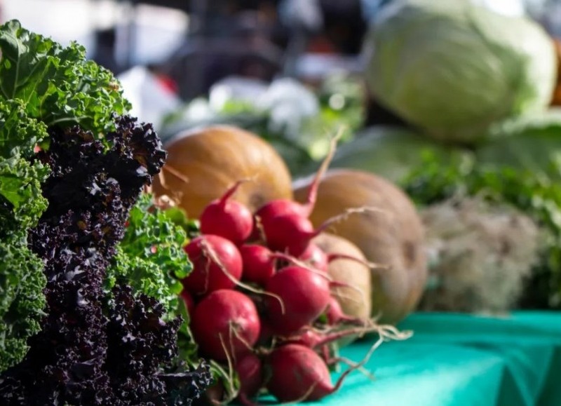La feria itinerante recorrerá varias localidades del partido llevando enormes rebajas en carnes, frutas, verduras, lácteos, pastas y panificados.