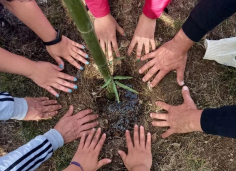La estrategia de sustentabilidad de la compañía se basa en tres pilares: la gestión ambiental, la inclusión social a través de la tecnología y el resguardo de buenas prácticas de gobierno corporativo