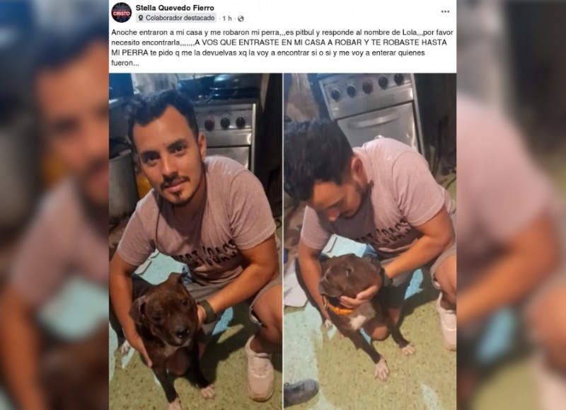 Stella Quevedo Fierro difundió la denuncia en redes sociales con un pedido desesperado al ladrón.