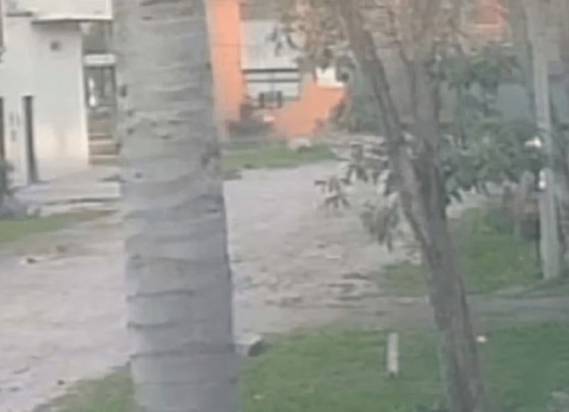Tiene 65 años y fue interceptado por dos delincuentes que lo golpearon durante 17 segundos.