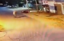 El momento en que un gendarme mató a balazos a un motochorro en una parada de colectivos