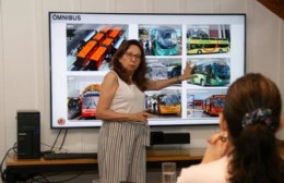 Transporte en la ciudad: planifican imitar a una ciudad brasilera, ¿qué pasará con La Perlita?