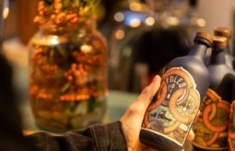 Desde Avellaneda hasta Moreno: el Conurbano bonaerense se volvió cuna de gins exitosos y premiados