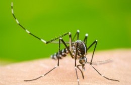 El Municipio se convirtió en la localidad con más casos activos de dengue del distrito regional séptimo de salud