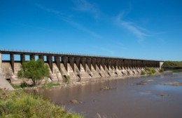 El manantial en estado de abandono: sin agua, lleno de maleza y animales muertos