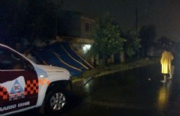 El temporal provocó destrozos en San Miguel y José C. Paz: falleció una mujer por la caída de un árbol